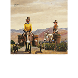 3001 – Molina Campos