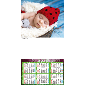 1603 – Bebes