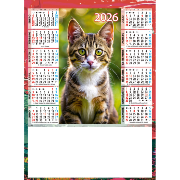 1613 - Animales