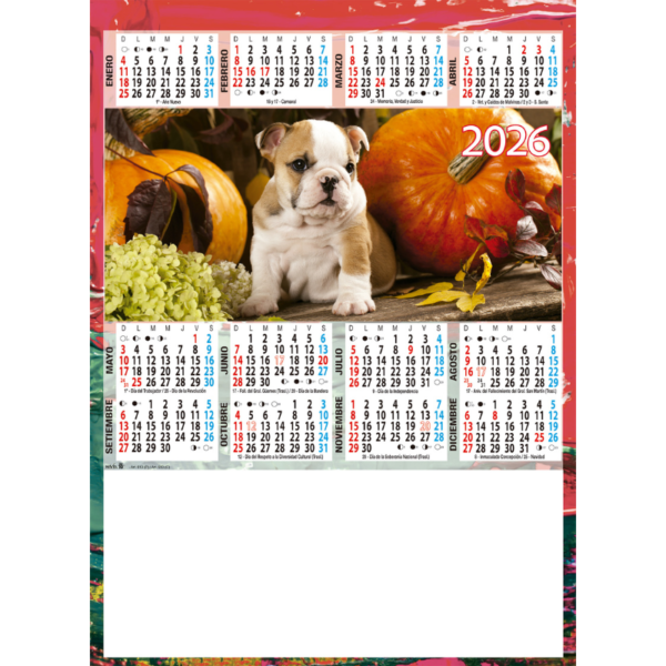 1613 - Animales - Imagen 2