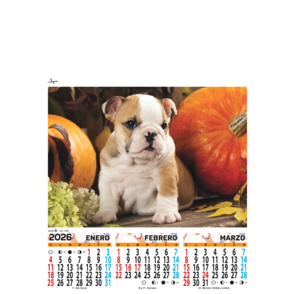7001 - Animales
