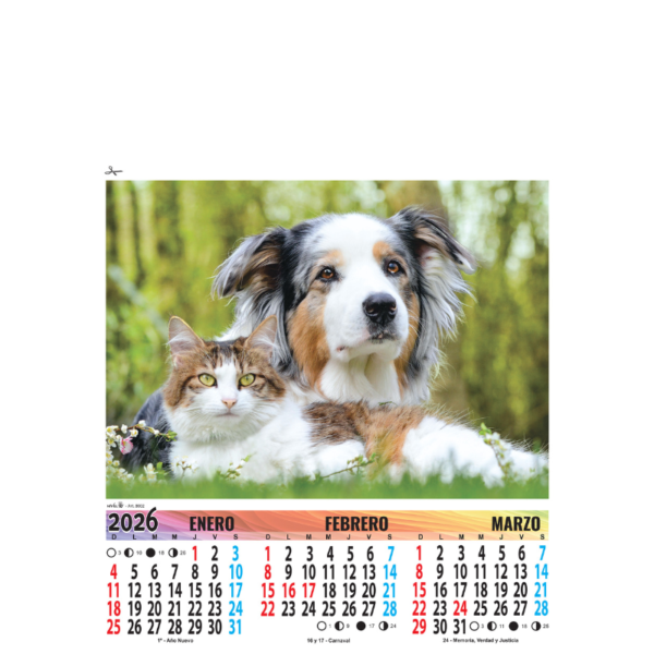 8002 - Animales
