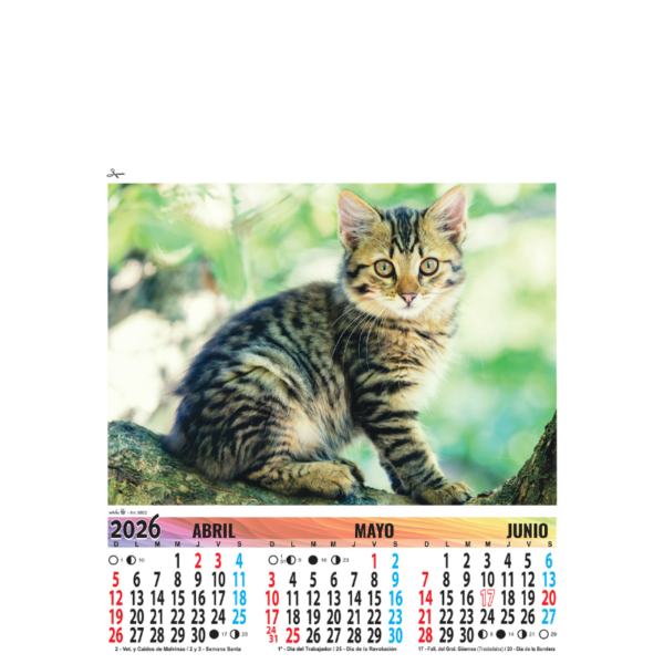 8002 - Animales - Imagen 2