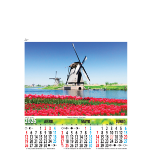8003 – Paisajes Extranjeros