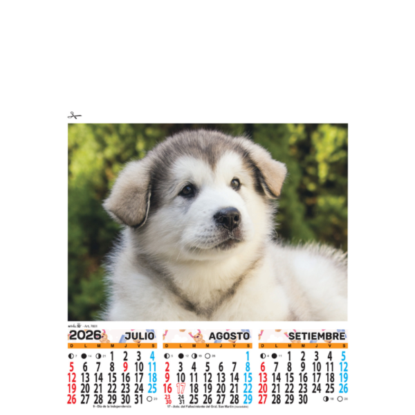 7001 - Animales - Imagen 3