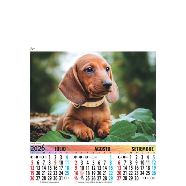 8002 - Animales - Imagen 3