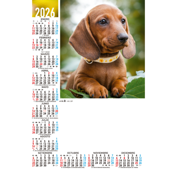 1501 - Varios - Imagen 3