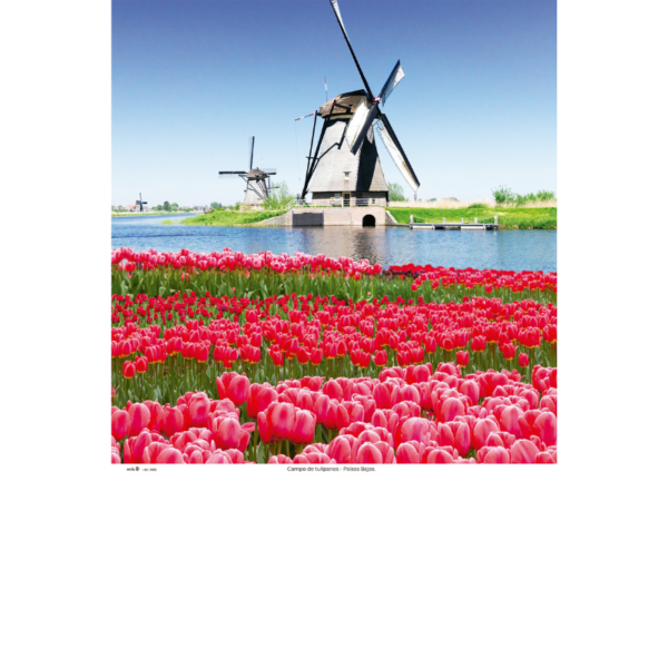 4003 - Paisajes extranjeros - Imagen 4